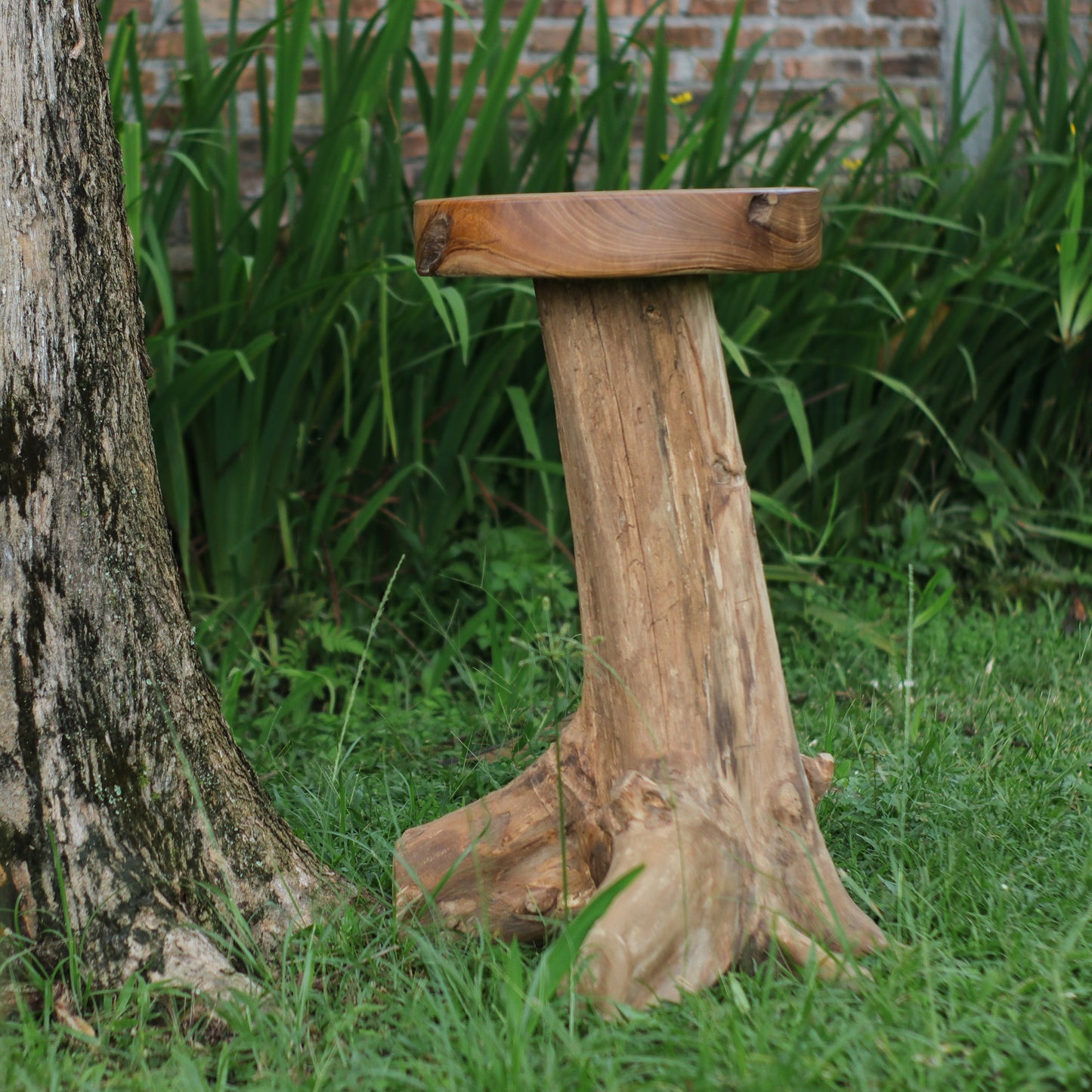 Barhocker >Akar< Teakholz Wurzel Hocker