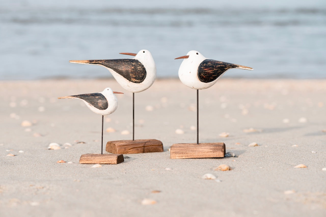 Vogel mit nach hinten gedrehtem Kopf Nautico