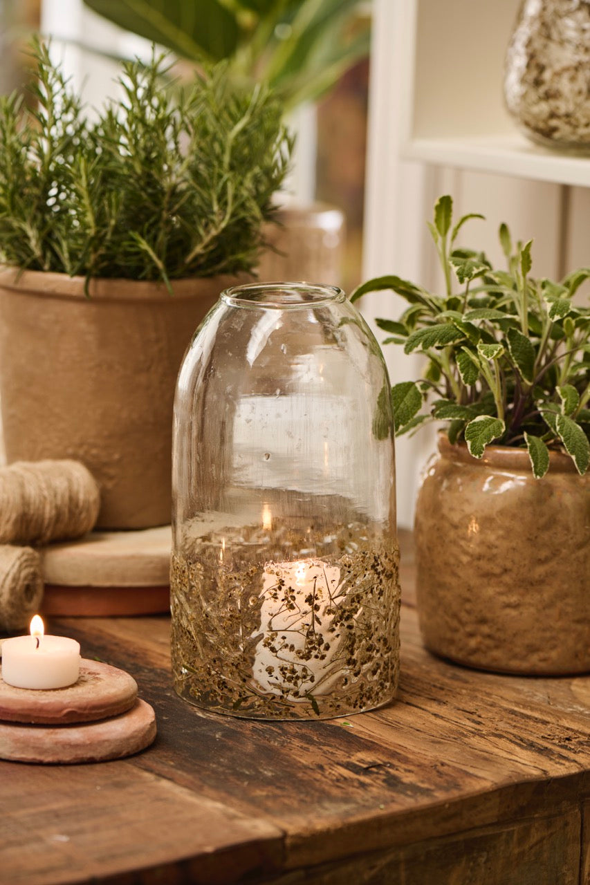 Glasglocke mit Gras im Glas