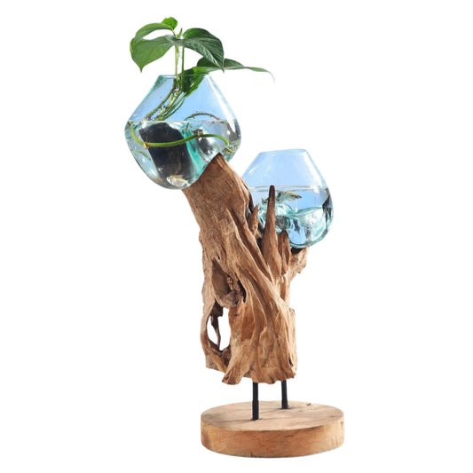 Teakholzwurzel >Waterdrop< mit Dekoglas - 2 Gläser