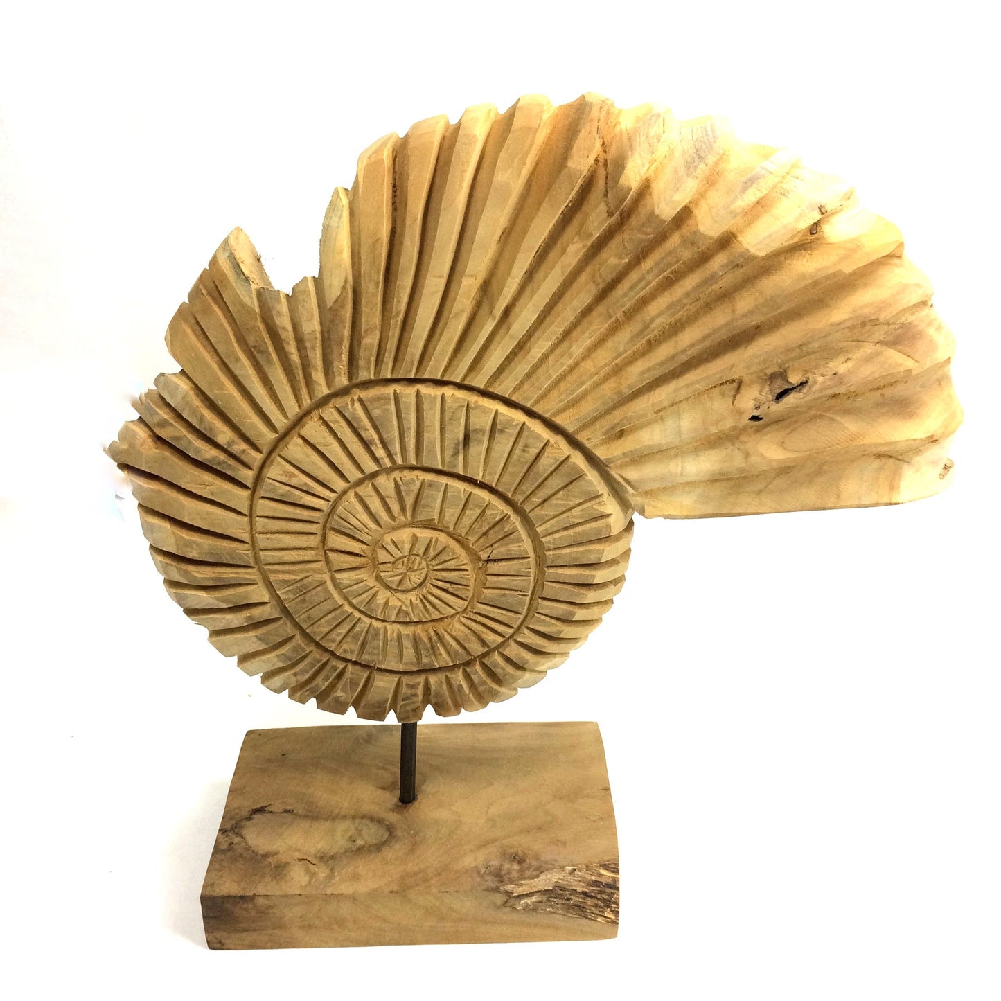 Teakholz Deko Nautilus