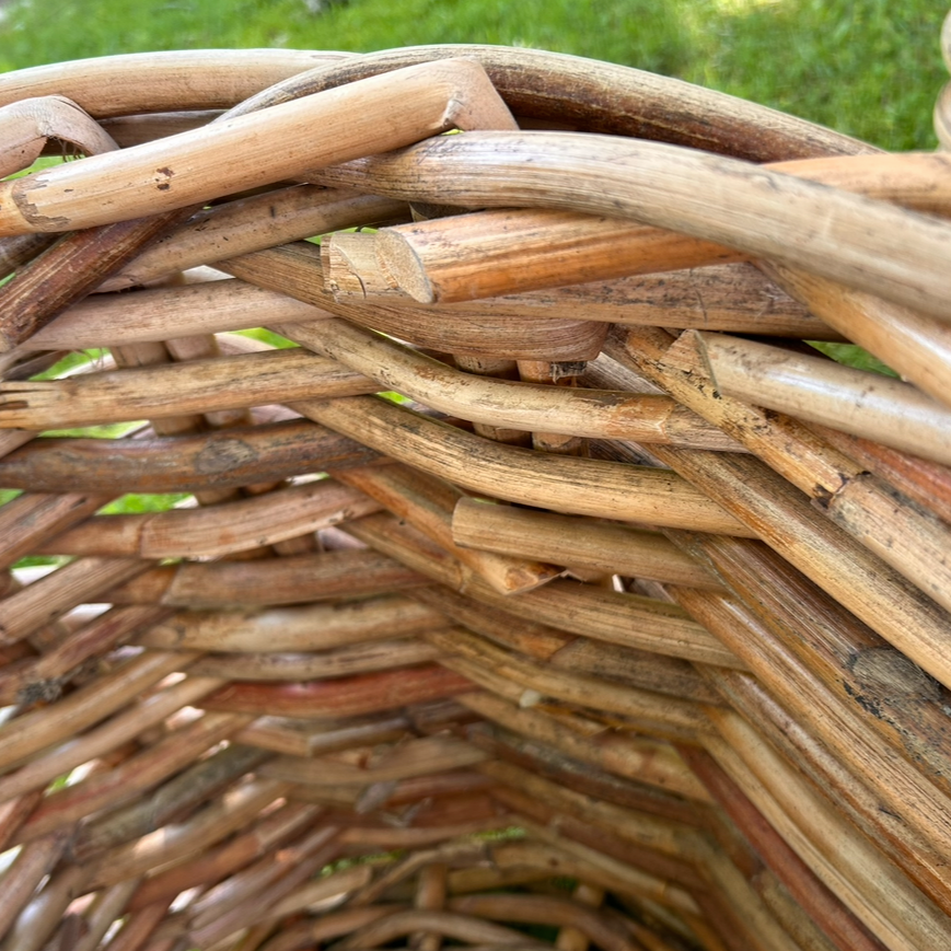 Korb >Botanica< Pflanzkorb aus dickem Rattan rund - 4 Größen