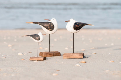 Vogel mit nach hinten gedrehtem Kopf Nautico