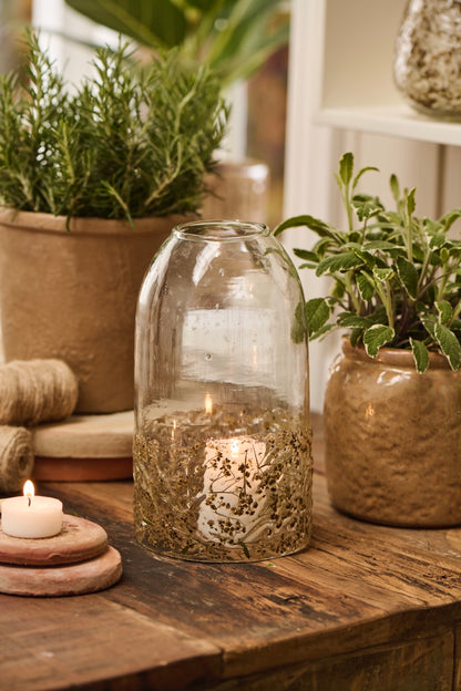 Glasglocke mit Gras im Glas