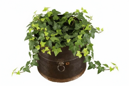 Topf mit Griffen aus Metall Eimer - 5 Größen