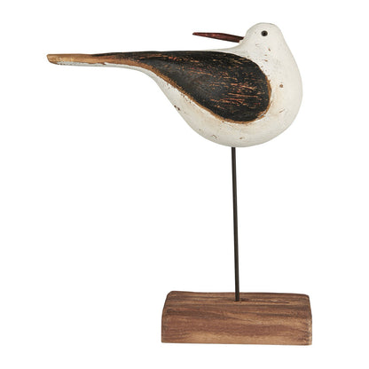 Vogel mit nach hinten gedrehtem Kopf Nautico