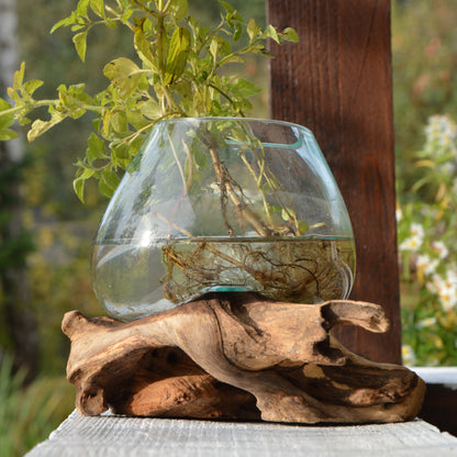 Dekoschale Glas Teakholzwurzel >Waterdrop< Dekoglas - 7 Größen