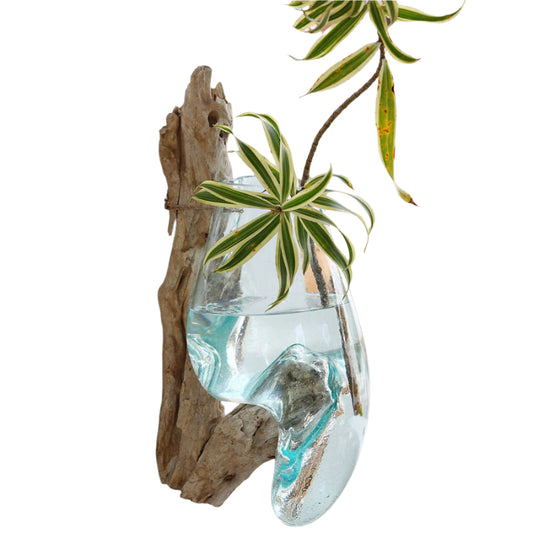 Teakholzwurzel >Waterdrop< Wanddeko mit Dekoglas - 1 Glas