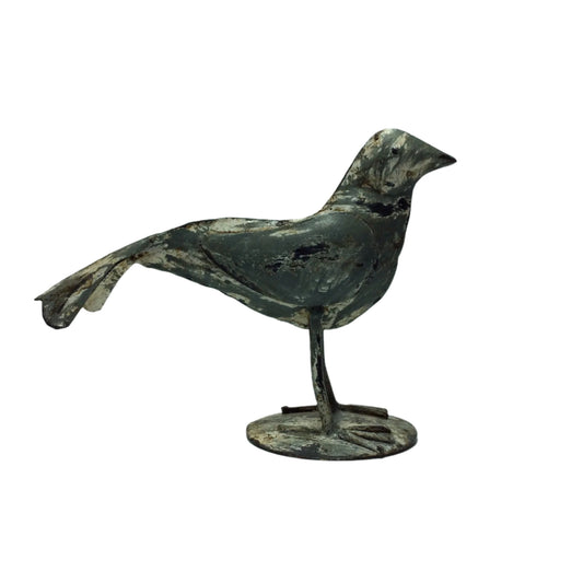 Metallvogel grau